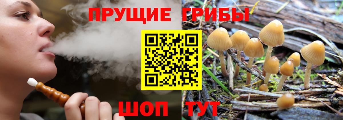 Сарапул  Псилоцибиновые грибы мицелий  Вход с VPN 